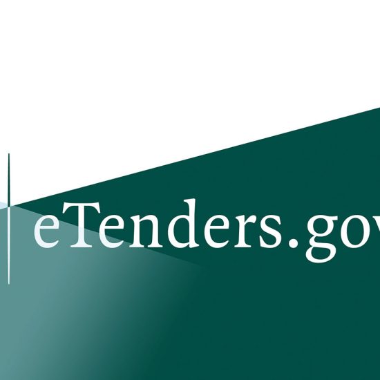 Guidance for Suppliers responding to tenders via www.etenders.gov.ie