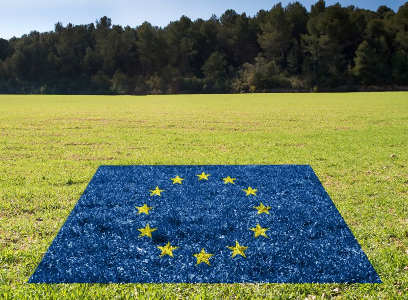 EU flag on grass