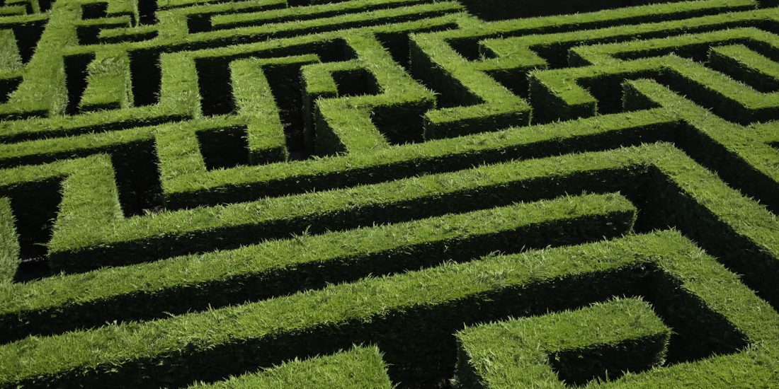 green hedge maze