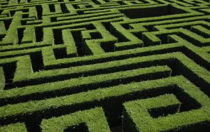 green hedge maze