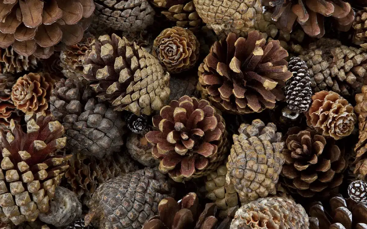 Practical-Steps-to-Socially-Responsible-Procurement- Image